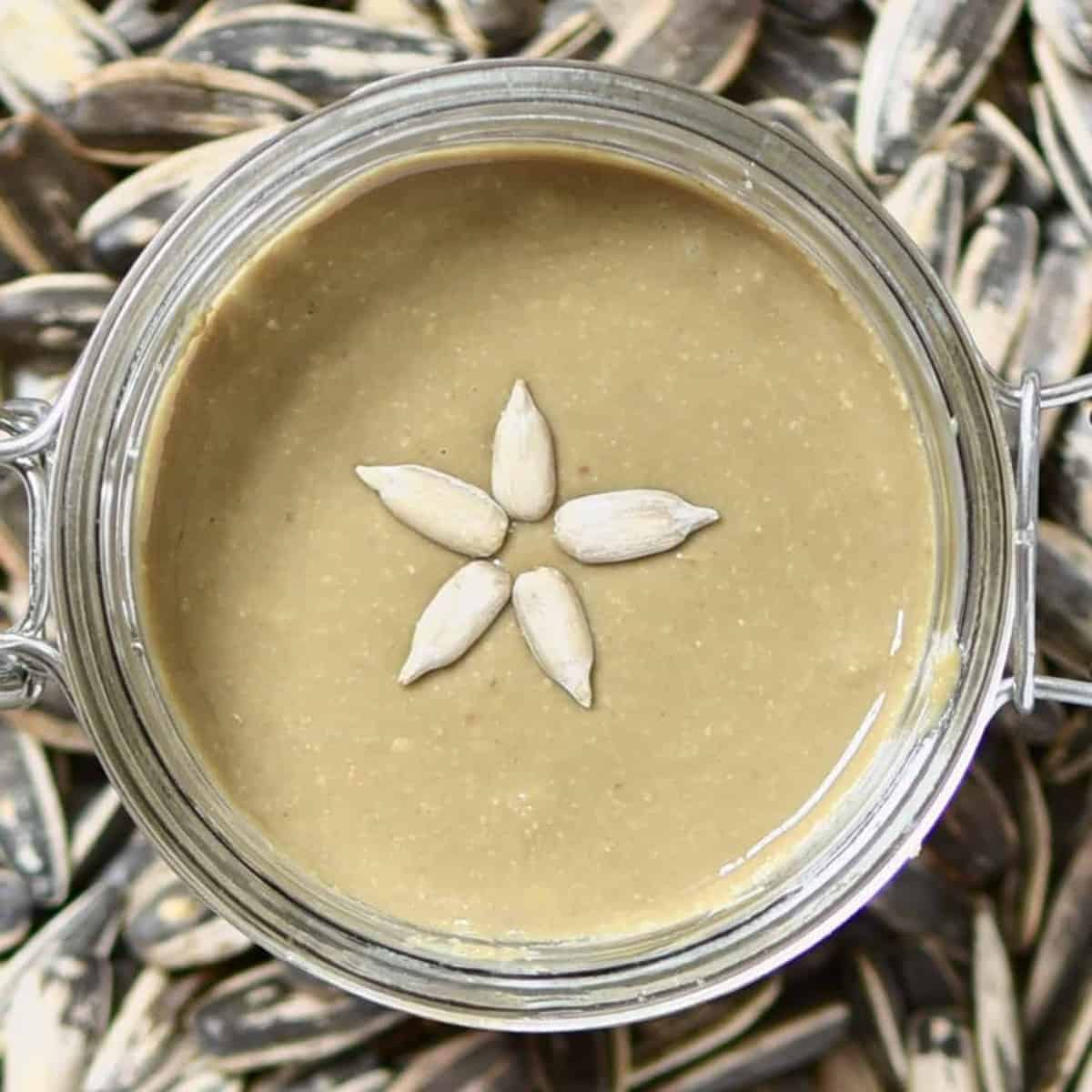 Nut-Free & Delicious: Make Super Creamy Sunflower Seed Butter